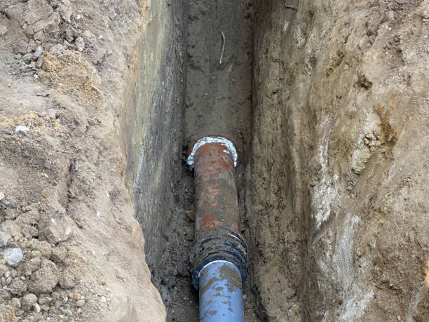 Best 24/7 water damage repair  in Despard, WV