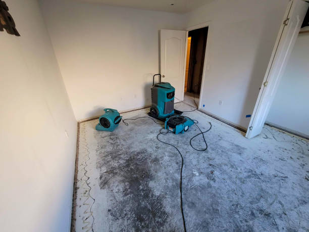 Best 24-hour water damage restoration  in Despard, WV