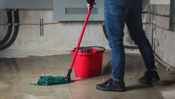Best Flood damage cleanup  in Despard, WV