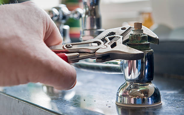 Best Residential water damage restoration  in Despard, WV