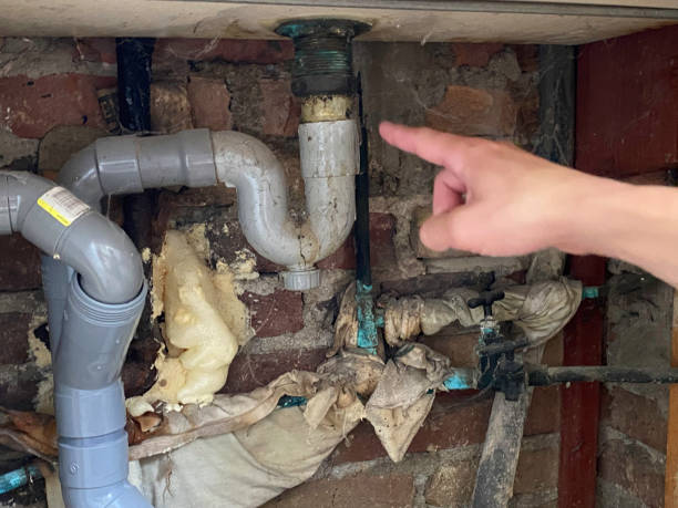 Best Fire Damage Restoration  in Despard, WV