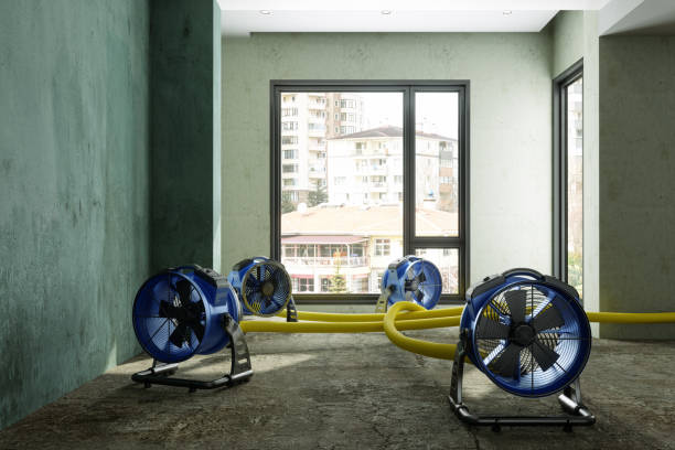 Local water damage restoration in WV